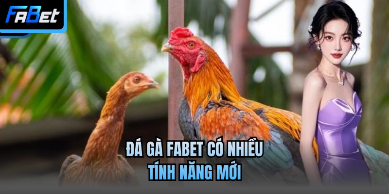 Đá gà Fabet có nhiều tính năng mới