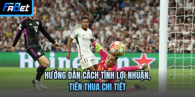 Hướng dẫn cách tính lợi nhuận, tiền thua chi tiết