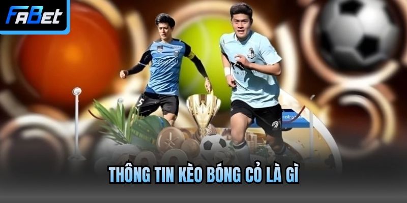 Thông tin kèo bóng cỏ là gì